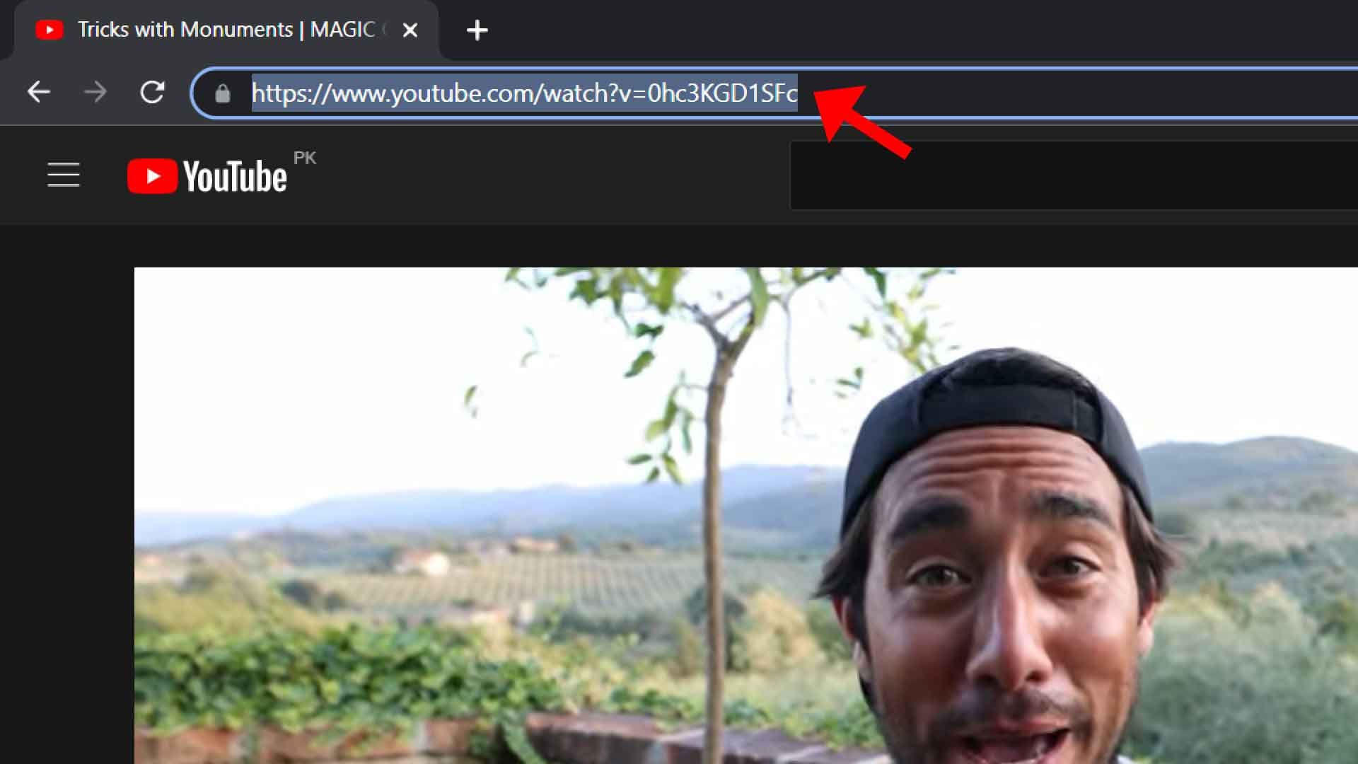 YouTube copy link